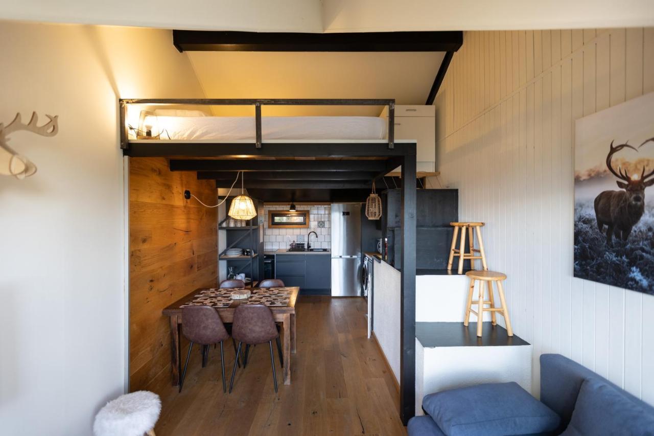 Apartmán Le Cerf - Duplex Avec Superbe Vue Montagne Les Angles  Exteriér fotografie